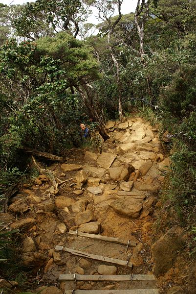 Mt. Kinabalu 8.jpg
